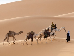旅游业正成为非洲新动力，非洲旅游热潮！​